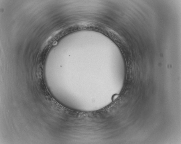 X0000070380776200606301920