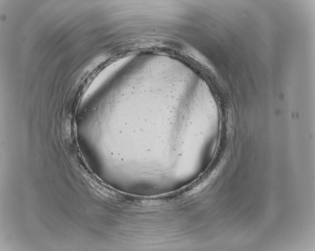 X0000070380777200606301920