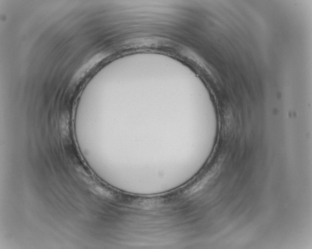 X0000070380778200606301920