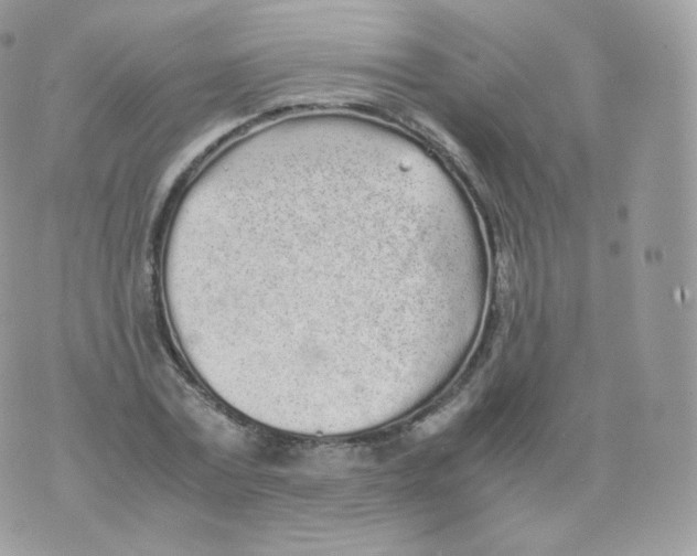 X0000070380779200606301920