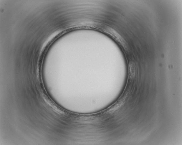 X0000070380780200606301920