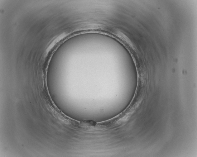 X0000070380781200606301920