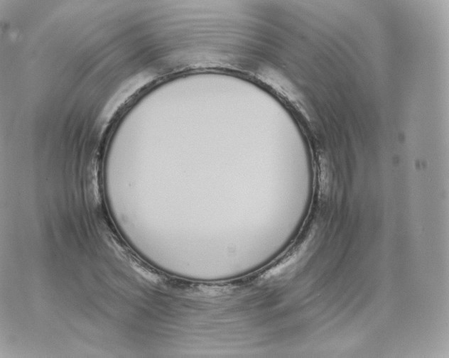 X0000070380782200606301920