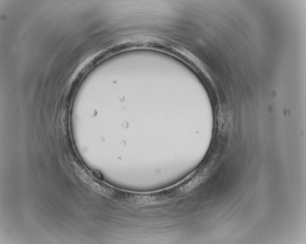 X0000070380783200606301920