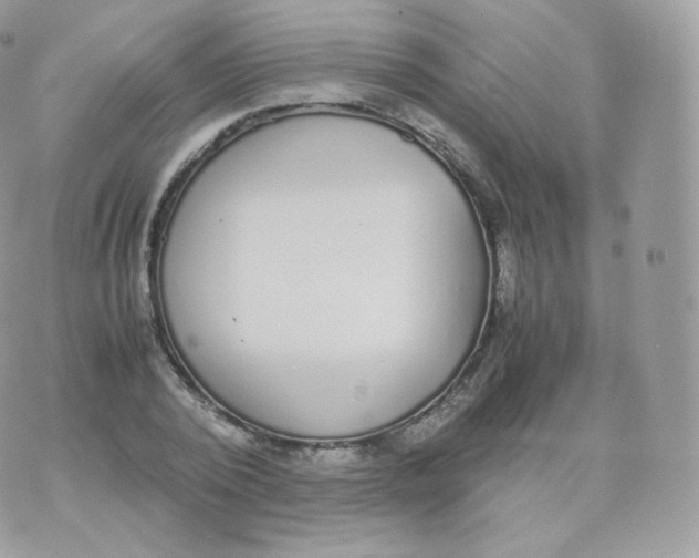 X0000070380784200606301920