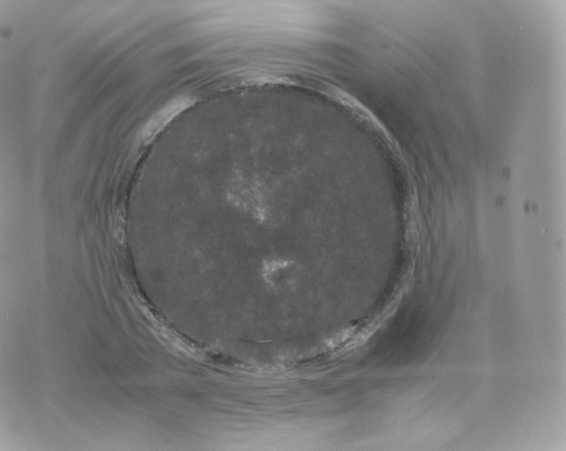 X0000070380785200606301920