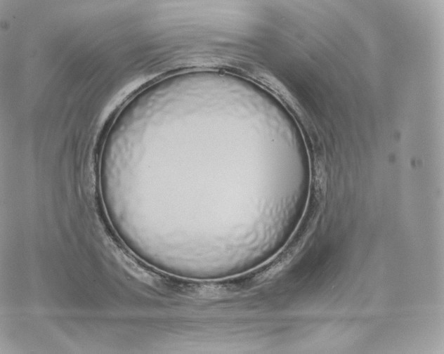 X0000070380787200606301920