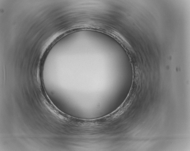 X0000070380788200606301920