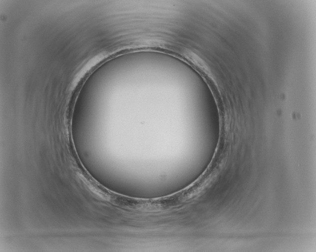 X0000070380789200606301920