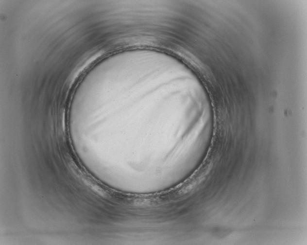 X0000070380790200606301920