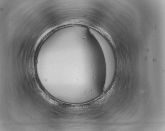 X0000070380792200606301920