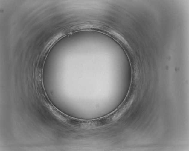 X0000070380793200606301920