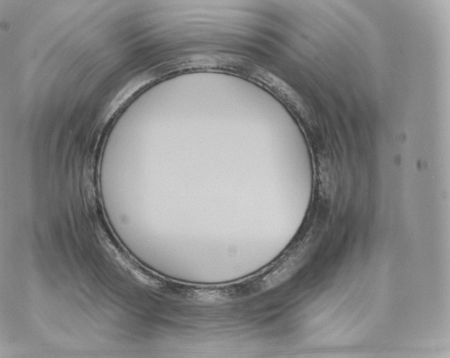 X0000070380794200606301920