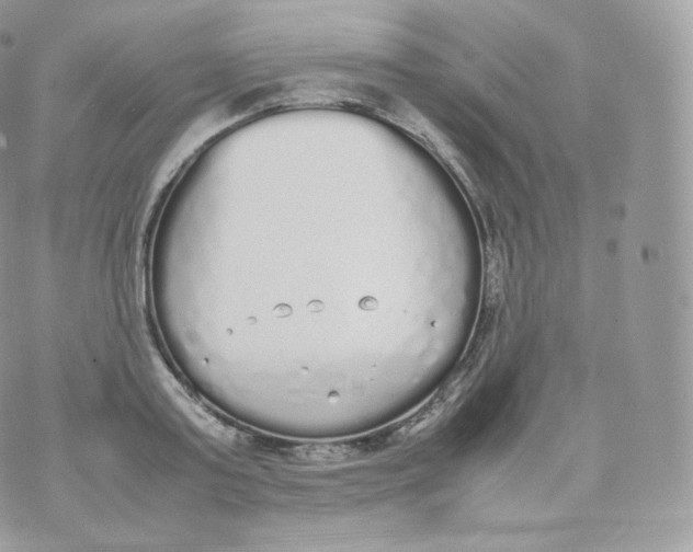 X0000070380795200606301920