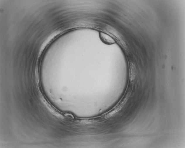 X0000070380796200606301920