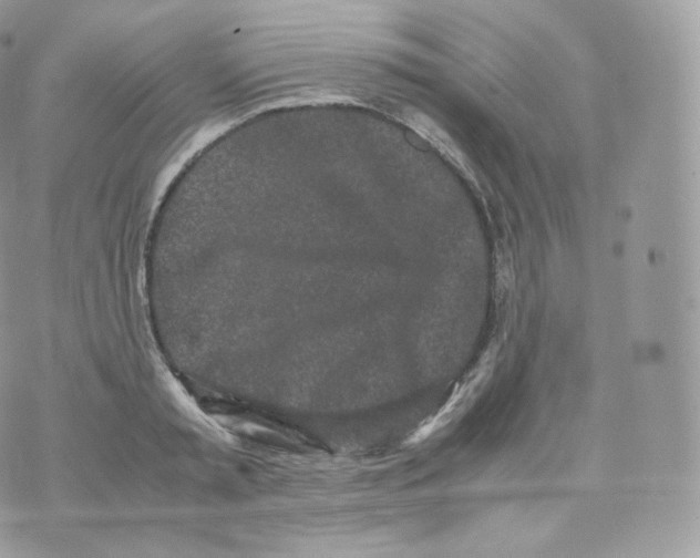 X0000070380797200606301920