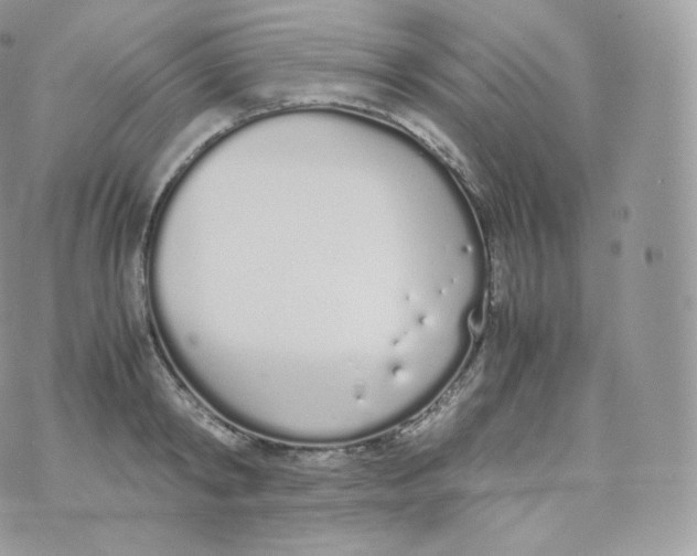 X0000070380798200606301920