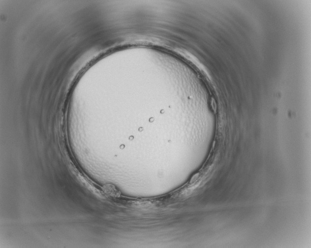 X0000070380799200606301920