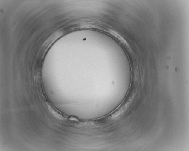 X0000070380801200606301920