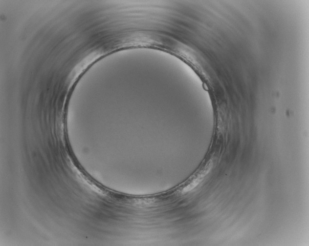 X0000070380802200606301920