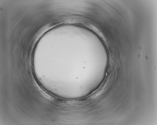 X0000070380803200606301920