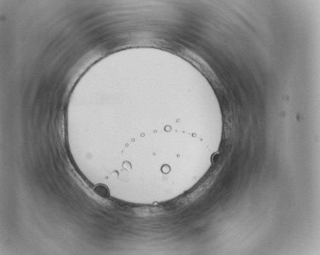 X0000070380804200606301920