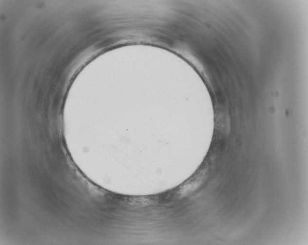 X0000070380807200606301920