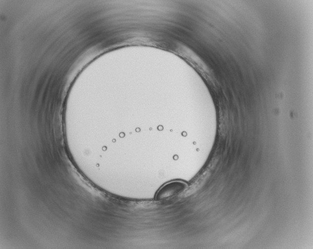 X0000070380808200606301920