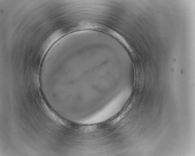 X0000070380810200606301920