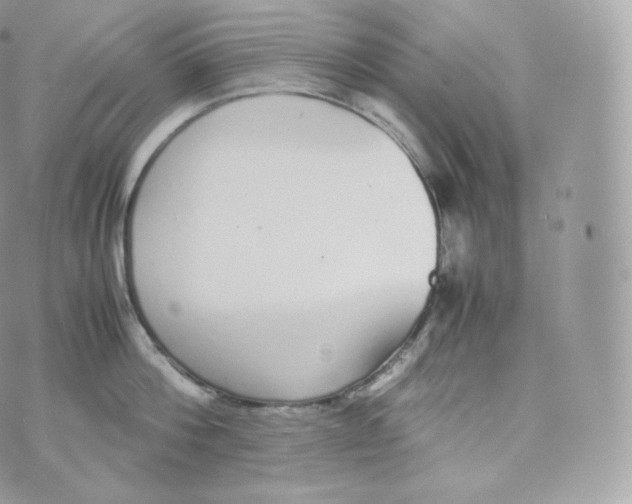 X0000070380812200606301920