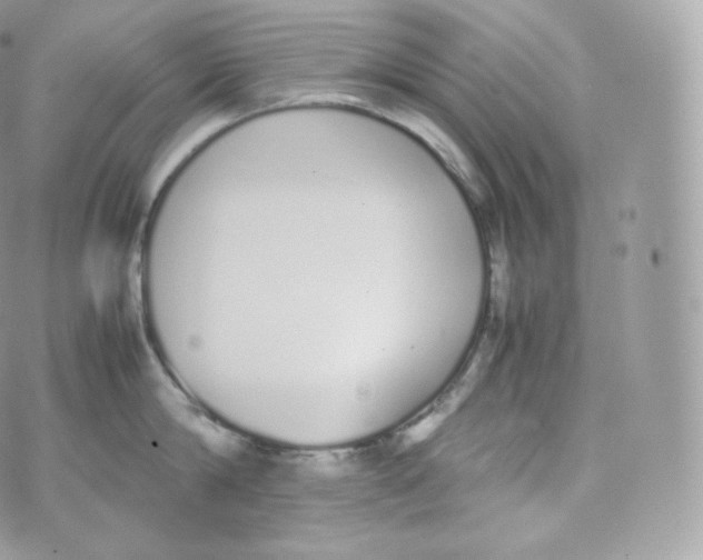 X0000070380814200606301920