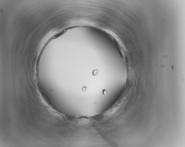 X0000070380815200606301920