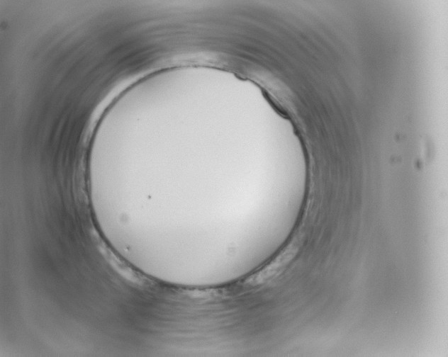 X0000070380816200606301920