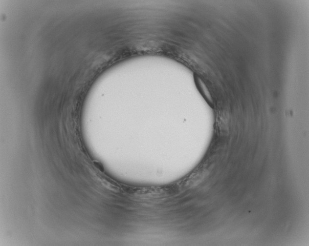 X0000070380817200606301919