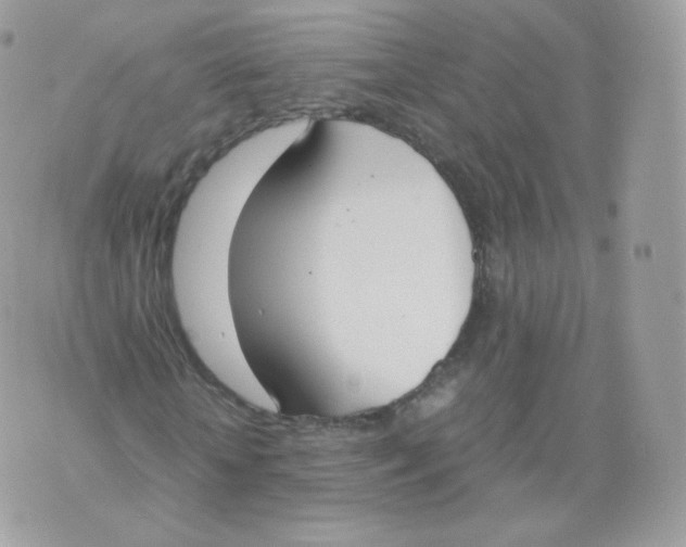 X0000070380818200606301919