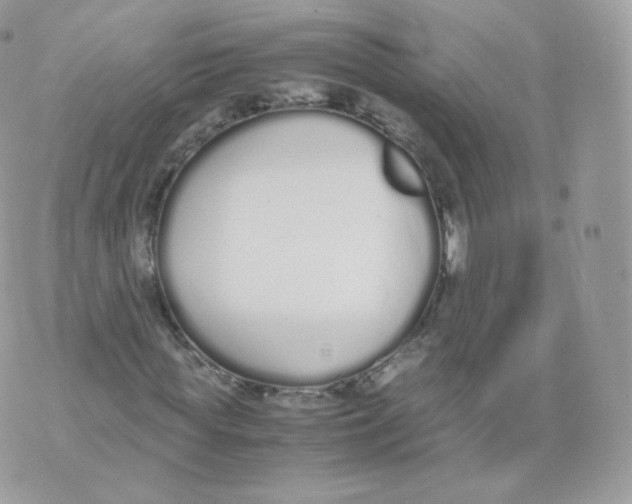 X0000070380819200606301919