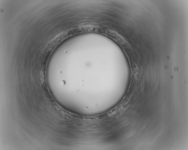 X0000070380821200606301919