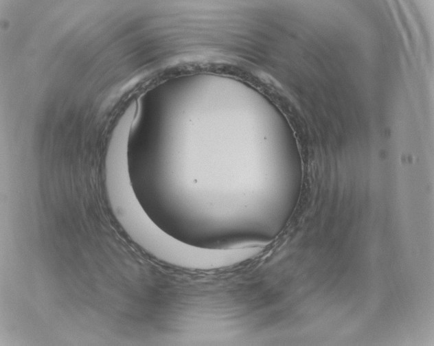 X0000070380822200606301919