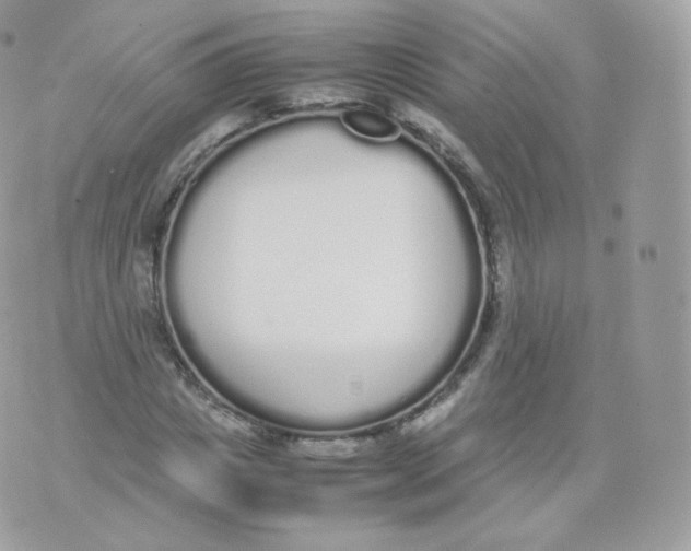 X0000070380825200606301919