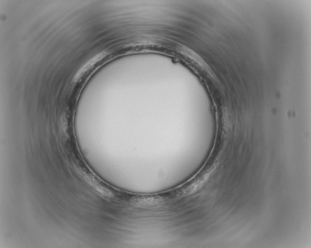 X0000070380826200606301919