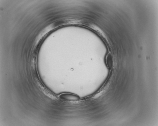 X0000070380827200606301919