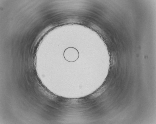 X0000070380828200606301919