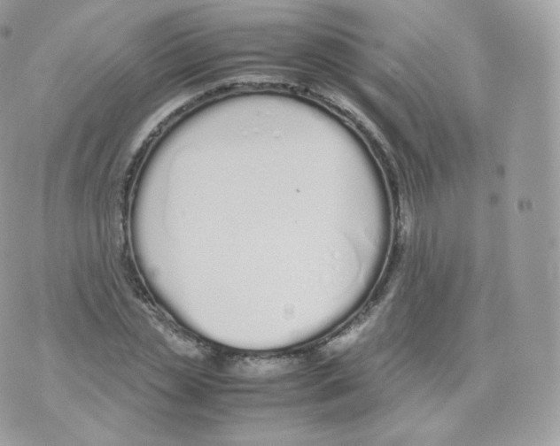 X0000070380829200606301919