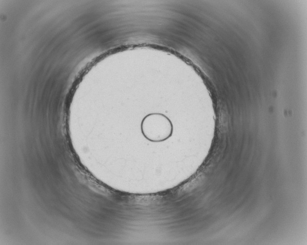 X0000070380832200606301919