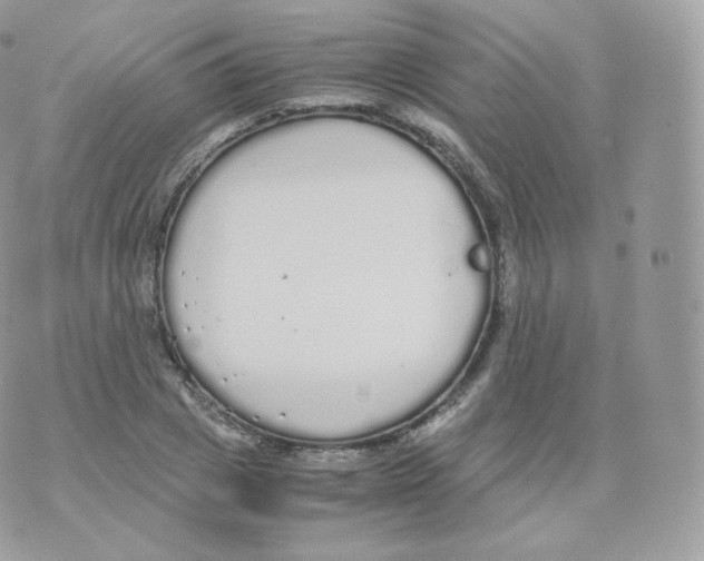 X0000070380833200606301919