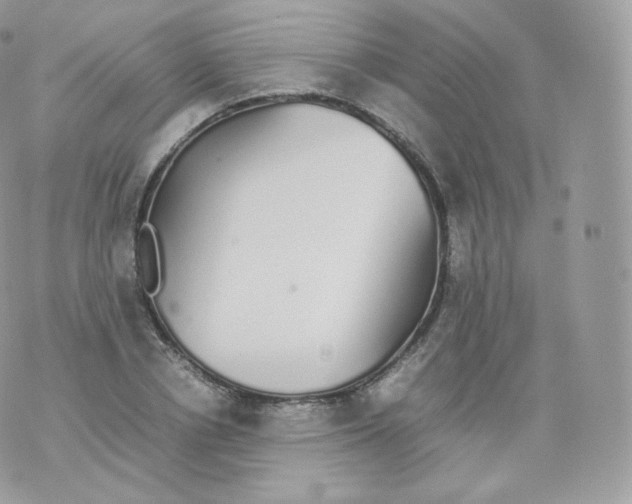 X0000070380834200606301919