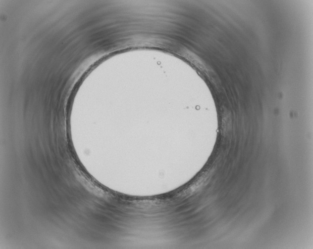 X0000070380836200606301919