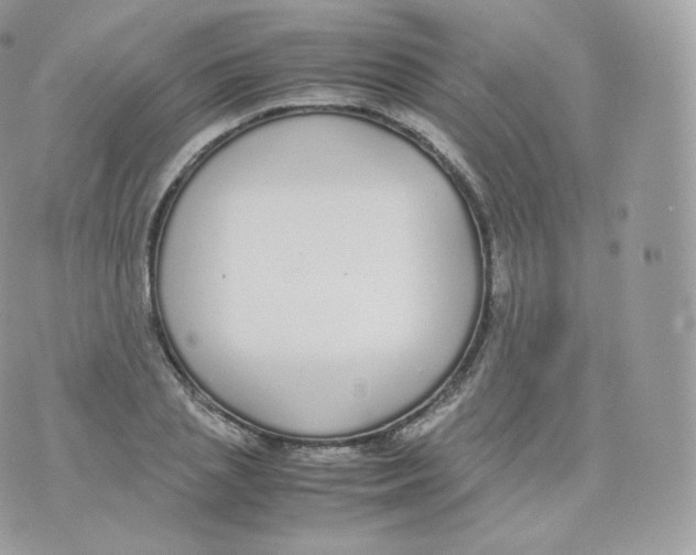 X0000070380837200606301919