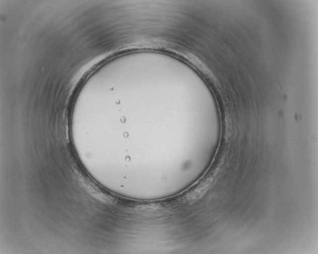 X0000070380838200606301919