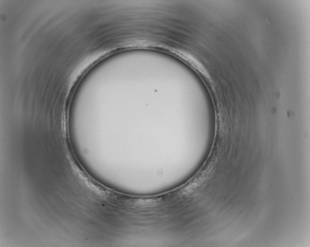 X0000070380839200606301919